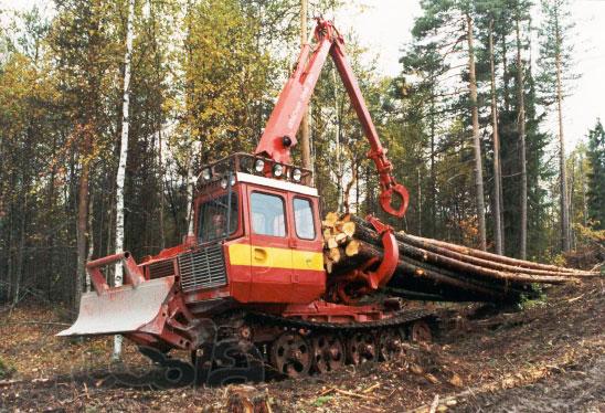 Услуги лесозаготовки